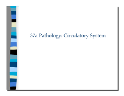 37a Pathology: Circulatory System