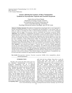 Factors Affecting the Geometry of Silver Nanoparticles Synthesis in