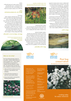 Peat bog conservation - Natural England publications