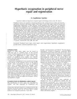 Hyperbaric oxygenation in peripheral nerve repair and regeneration