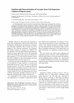 Isolation and Characterization of Vacuoles from Cell