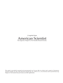 How the Retina Works