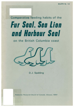 FUI S``II. S.,I LiDn lind H,IlbDUI S.,II