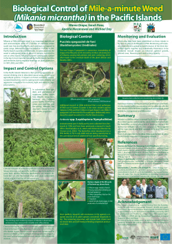 Biological Controlof Mile-a-minute Weed (Mikania micrantha) in the