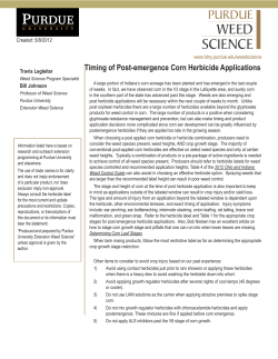 Timing of Post-emergence Corn Herbicide Applications