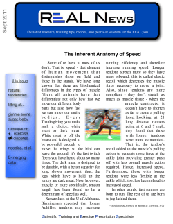 realnews template copy 2