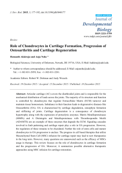 Role of Chondrocytes in Cartilage Formation, Progression of