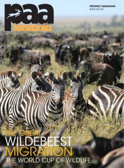 THE GREAT WILDEBEEST MIGRATION