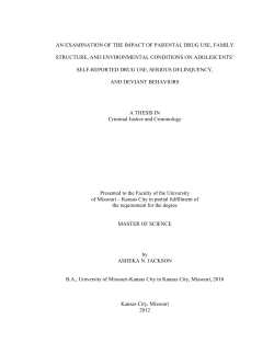 AN EXAMINATION OF THE IMPACT OF PARENTAL DRUG USE