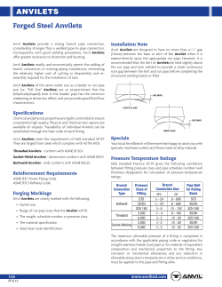 Anvil Branch Outlets