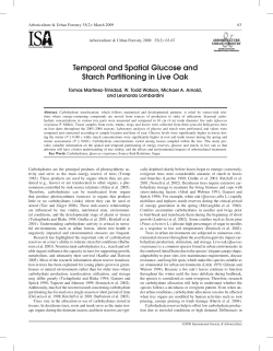Temporal and Spatial Glucose and Starch Partitioning in Live Oak