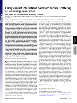 Ciliary contact interactions dominate surface scattering of swimming