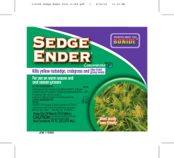 119368 Sedge Ender Pint 4-069