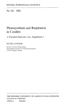 Photosynthesis and Respiration in Conifers