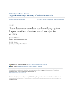 Scent deterrence to reduce southern flying squirrel kleptoparasitism