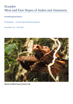 Ecuador West and East Slopes of Andes and Amazonia