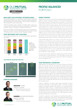 profile balanced portfolio - Old Mutual Investment Group