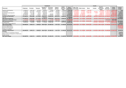 14-15 Budget Summary by Subjective Type.xlsx