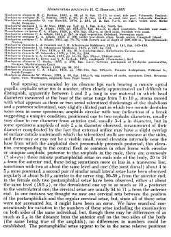 Original description (NemasLan)