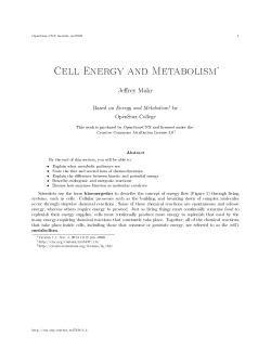 Cell Energy and Metabolism
