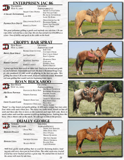 Lazy U Quarter Horses
