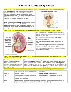 3.4 Water Study Guide by Hisrich