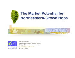 The Market Potential for Northeastern