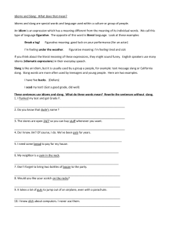 Idioms and Slang: What does that mean?