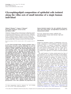 Glycosphingolipid composition of epithelial cells