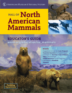 North American Mammals - American Museum of Natural History