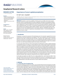 Importance of snow to global precipitation