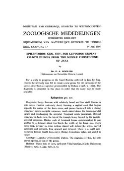 zoologische mededelingen - UvA-DARE