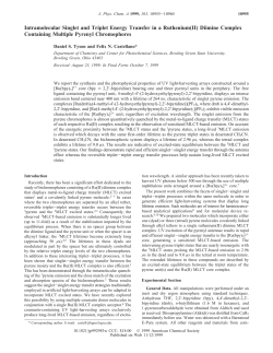 Intramolecular Singlet and Triplet Energy Transfer in a Ruthenium(II