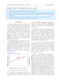Brunei Darussalam - Asia Pacific Energy Research Centre