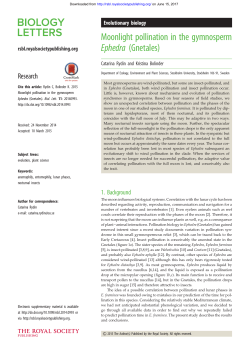 Moonlight pollination in the gymnosperm Ephedra (Gnetales)