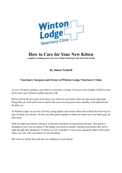 Guide - Winton Lodge Vets
