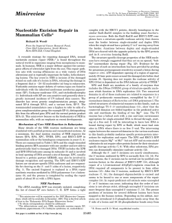 Wood (1997). Nucleotide Excision Repair in Mammalian Cells