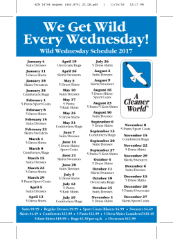 ACW 24746 magnet (4x5.875) 2C.LR