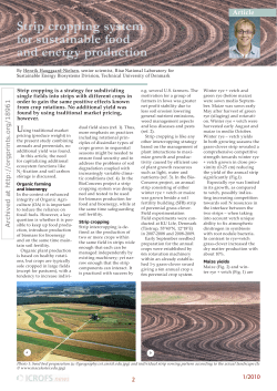 Strip cropping system for sustainable food and energy production