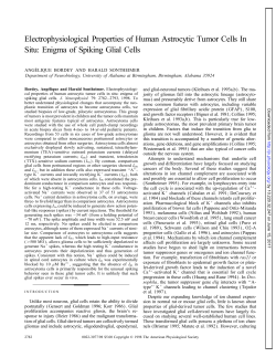 Electrophysiological Properties of Human Astrocytic Tumor Cells In