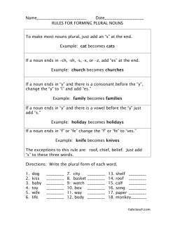 Forming Plural Nouns