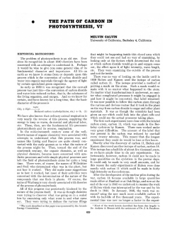 the path of carbon in photosynthesis, vi