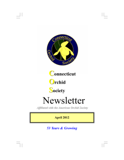 Newsletter - The Connecticut Orchid Society
