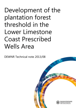 Development of the plantation forest threshold in the