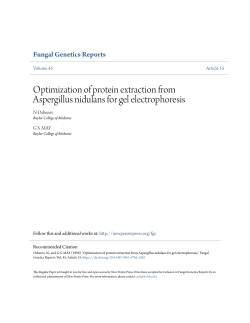 Optimization of protein extraction from Aspergillus nidulans for gel