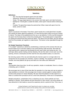 The tube that transports sperm from the testes. • Vasectomy
