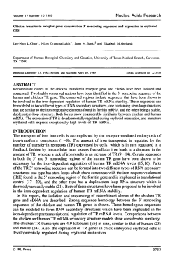 Chicken transferrin receptor gene: conservation 3&prime; noncoding