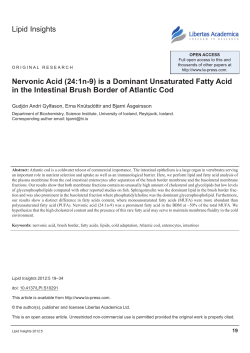 Lipid Insights nervonic Acid (24:1n