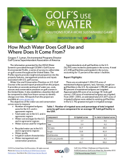 How Much Water Does Golf Use and Where Does It Come