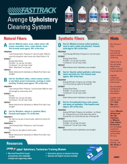 Avenge Upholstery Cleaning System